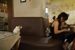 IMG_3969