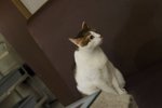 IMG_3970