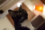 IMG_3976