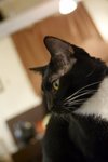IMG_3978