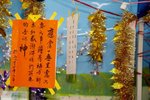 IMG_2929-1