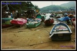 PICT3082
