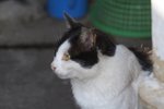 IMG_5468-1