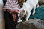 IMG_5473-1