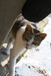 IMG_5481-1