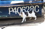 IMG_5729