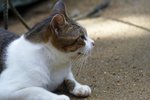 IMG_5739