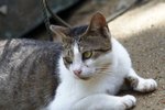 IMG_5740