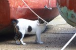 IMG_5753
