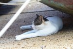 IMG_5754