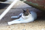 IMG_5755