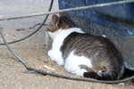 IMG_5759