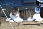IMG_5761