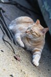 IMG_5765