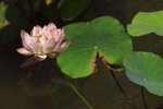 IMGP0136
