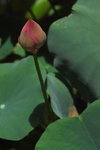 IMGP0138