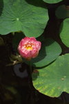 IMGP0139
