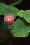 IMGP0140
