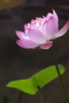 IMGP0144