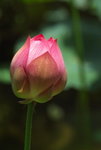 IMGP0145