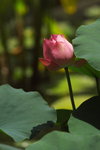 IMGP0149
