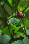IMGP0152