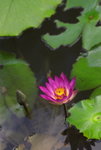 IMGP0155