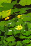 IMGP0159