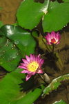IMGP0160