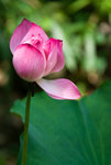 IMGP7229