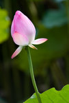 IMGP7234