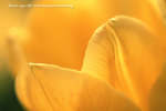 fe08- (12)