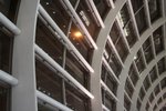 IMG_1731