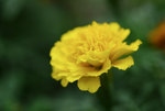 AKYP8976