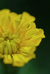 AKYP8977