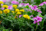 AKYP8978