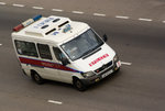 IMGP6442