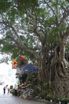 IMG_3296-1