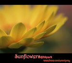 IMGP0775