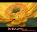 IMGP0778