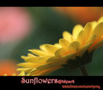 IMGP0789