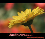 IMGP0792