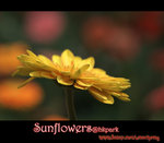 IMGP0807