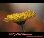 IMGP0814