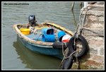 IMG_8943