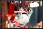 IMG_8965