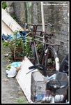 IMG_8974