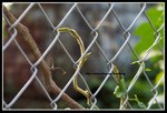 IMG_8985