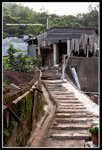 IMG_9003