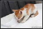 IMG_8967